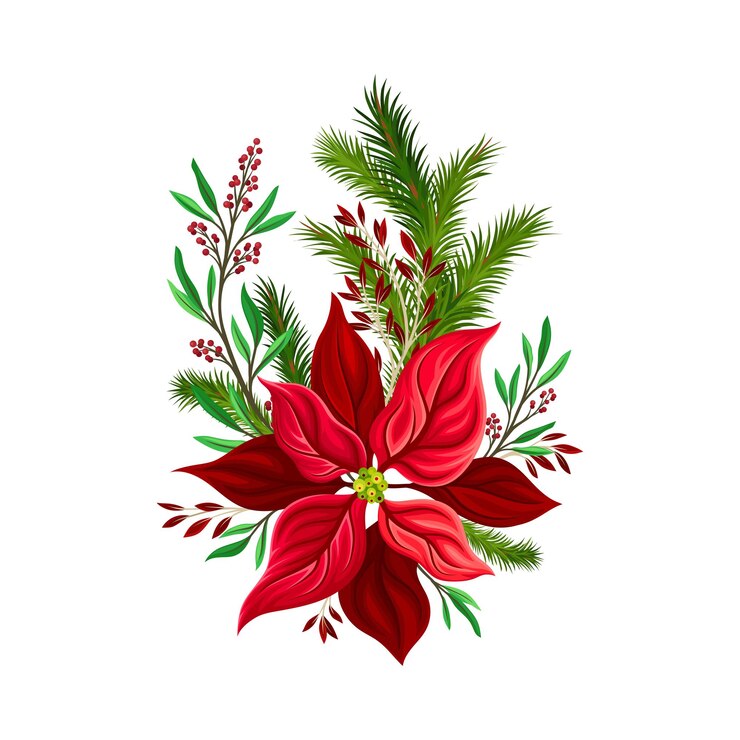 Vecteur composition florale de vacances arrangée à partir de fleurs de noël rouges et de brindilles de sapin illustration vectorielle