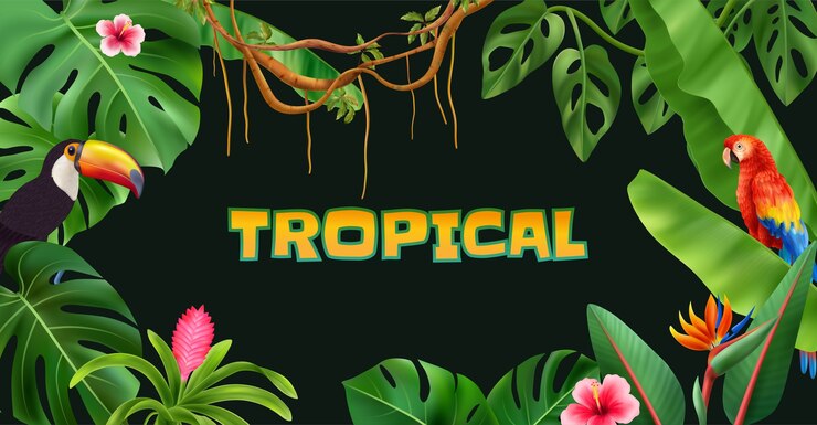 Vecteur composition de fond réaliste de la jungle colorée