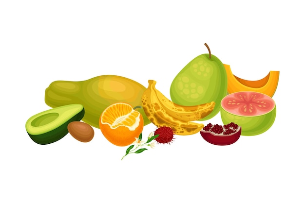 Composition De Fruits Exotiques Avec Illustration Vectorielle De Papaye Et De Mangue