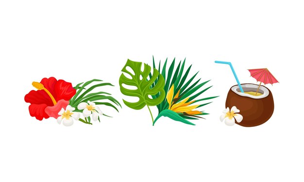 Vecteur composition hawaïenne de fleurs, de feuilles de palmier et d'un cocktail dans une noix de coco illustration vectorielle sur fond blanc