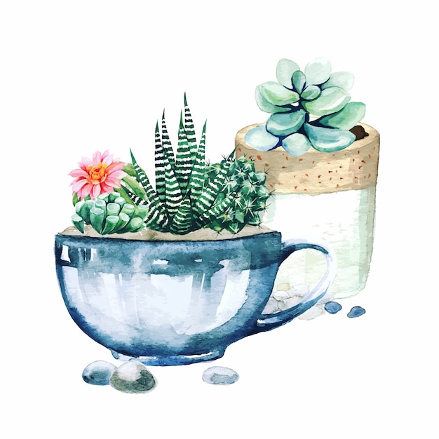 Composition de plantes de cactus en pot et de plantes succulentes