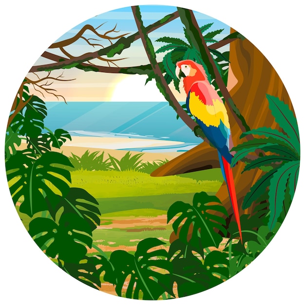 Vecteur composition ronde perroquet ara assis sur une liane jungle une forêt tropicale au bord de la mer réaliste