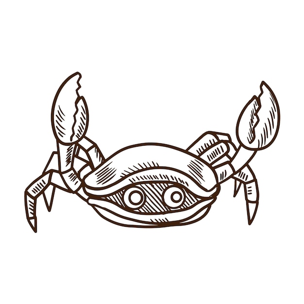 Vecteur concept d'animaux de dessin animé mignon crabe mignon et drôle de mer