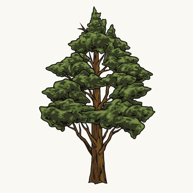 Le concept d'arbre coloré