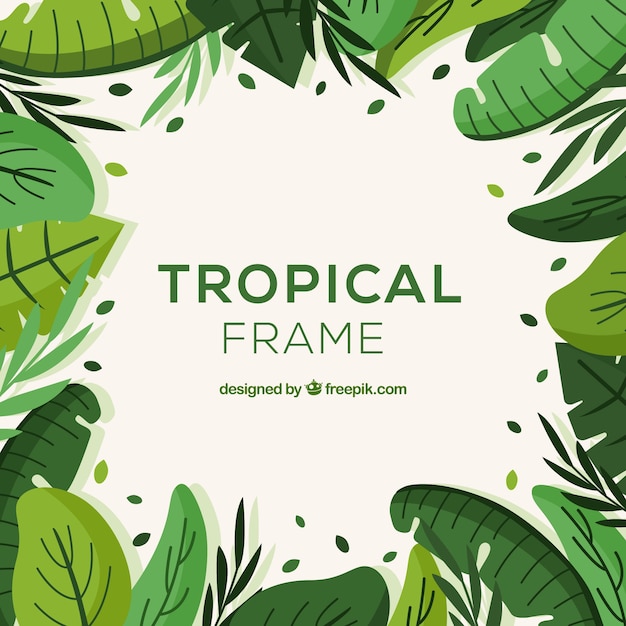 Concept De Cadre De Feuilles Tropicales