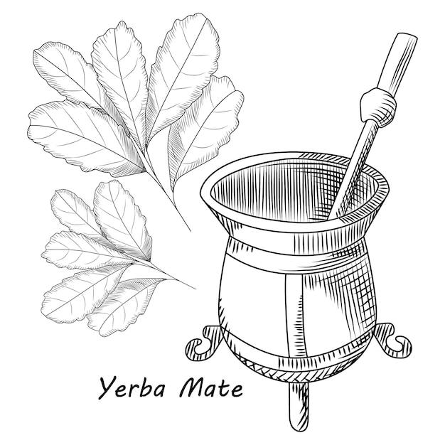 Concept De Calebasse Et De Bombilla Pour Boisson Yerba Mate Isolé On White