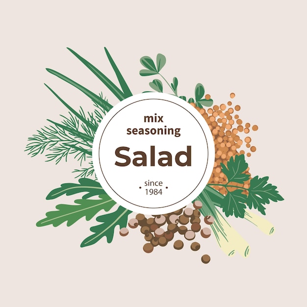 Concept De Couverture D'assaisonnement épices Pour Salades Allspice, Scallion, Fenugreek, Dill, Persley, Arugula.