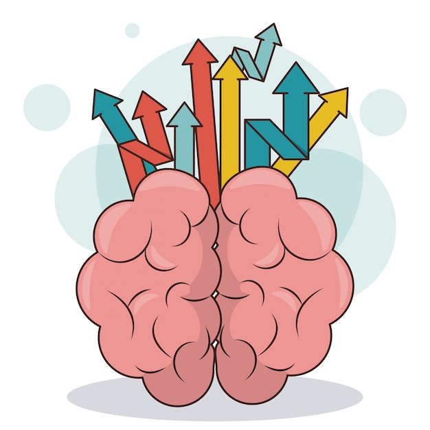 Concept De Croissance D'entreprise De Flèches De Cerveau Humain Créativité