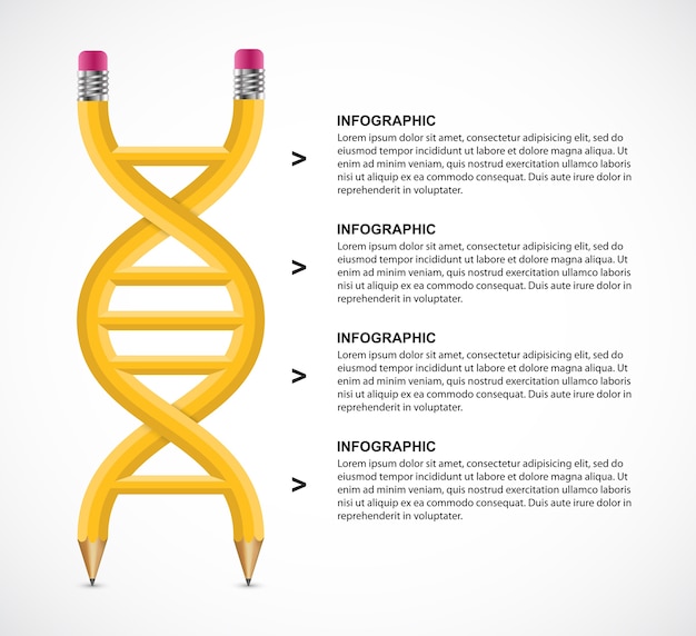 Concept De Design Infographie Adn Crayon.