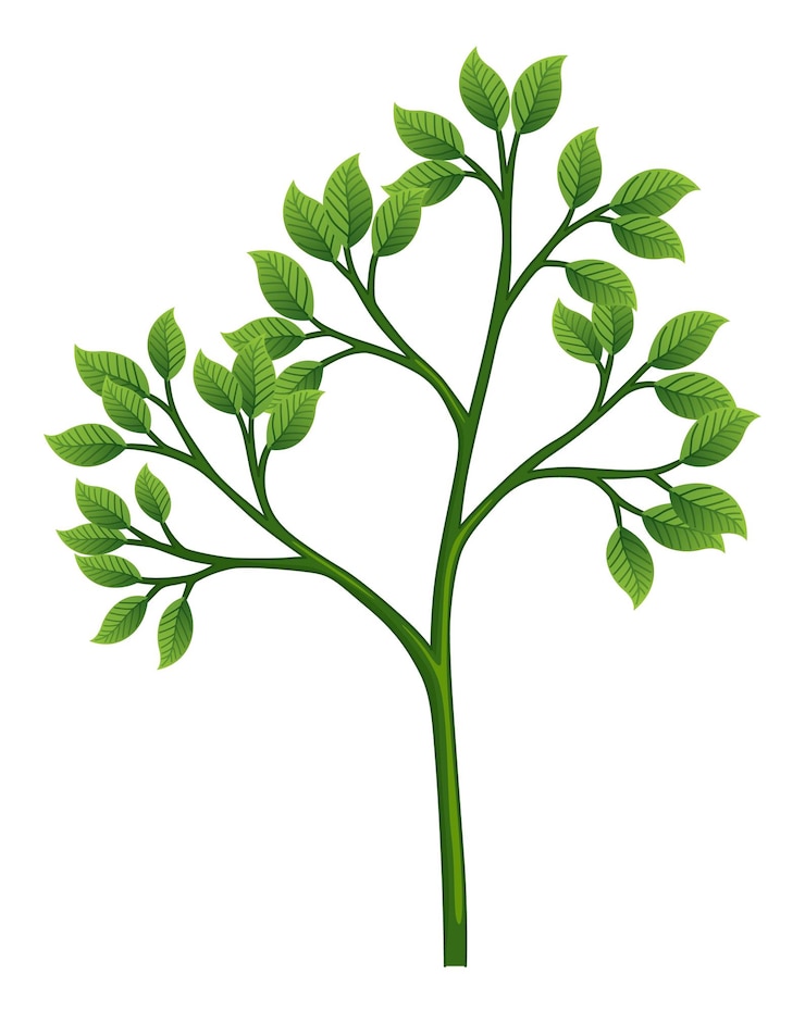Vecteur concept écologique de croissance verte des arbres