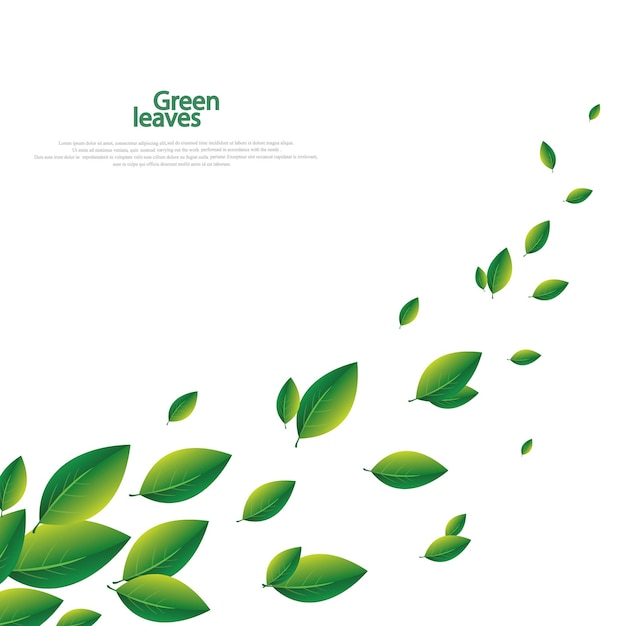 Vecteur concept d'été avec des feuilles vertes volantes feuillage sur fond transparent blanc. illustration vectorielle.