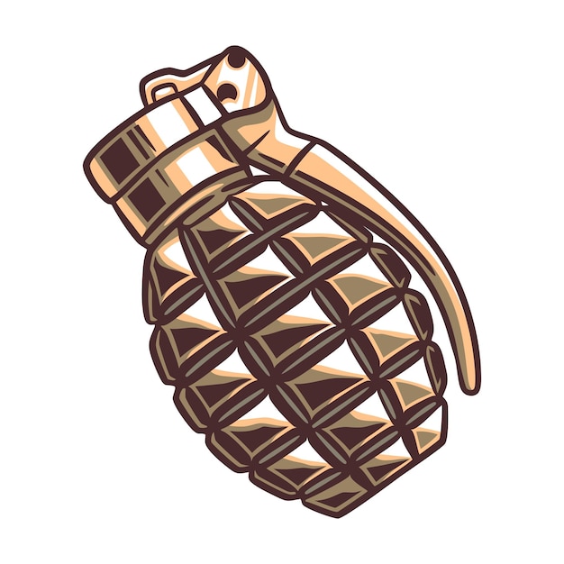 Concept De Grenade à Main Militaire En Couleur