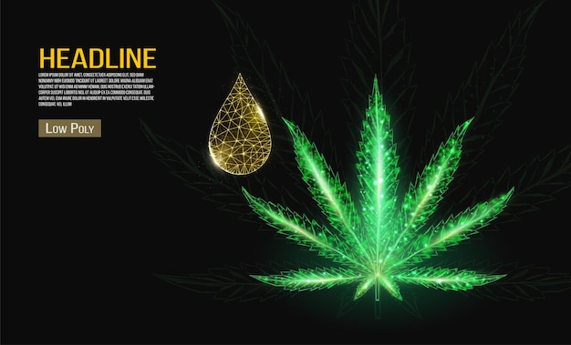 Concept D'huile De Cannabis. Chanvre Low Poly Et Goutte D'huile Sur Fond Noir.