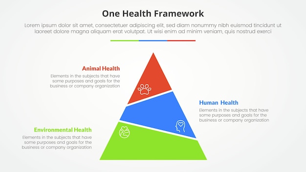 Vecteur un concept d'infographie de santé pour la présentation de diapositives avec une pyramide tronquée asymétrique avec une liste en 3 points avec un style plat