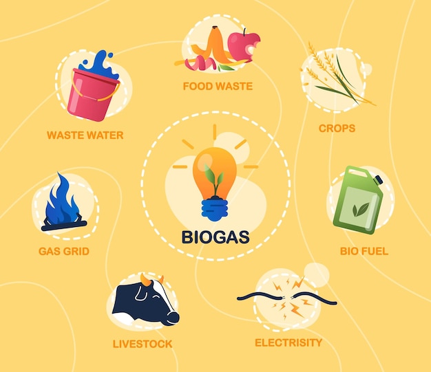 Vecteur concept infographique de biogaz
