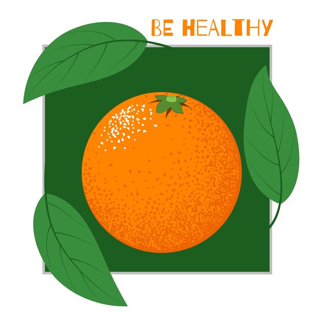 Concept De Nourriture Végétalienne Illustration De Fruits Orange