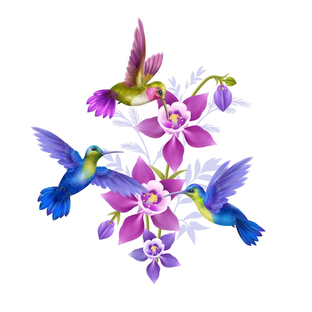 Concept Réaliste De Colibri Volant Avec De Beaux Symboles De La Flore Illustration Vectorielle