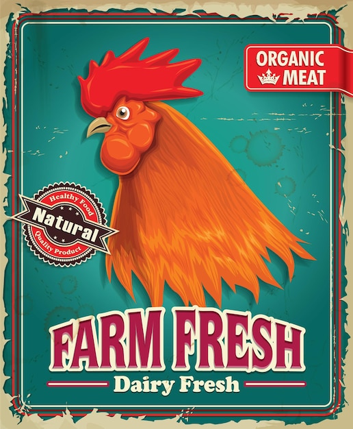 Vecteur conception d'affiche de coq frais de ferme biologique vintage