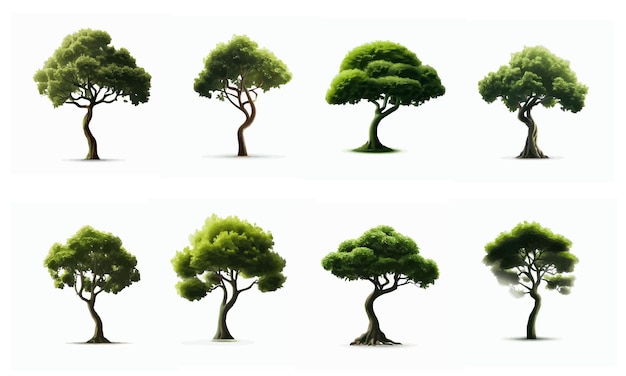 Conception d'arbres vectoriels libres et arrière-plan