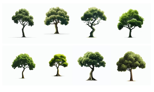 Conception d'arbres vectoriels libres et arrière-plan