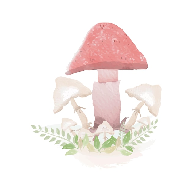 Conception De Champignon Botanique Naturel Aquarelle