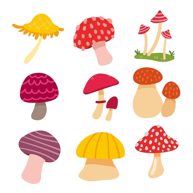 Conception De Collection De Champignons Vector