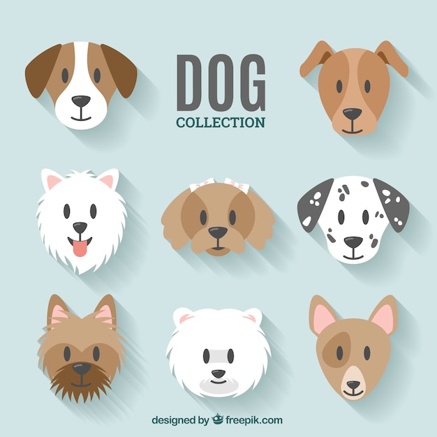 Conception De Collection De Chien