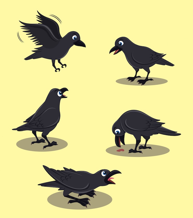 Vecteur conception de corbeau