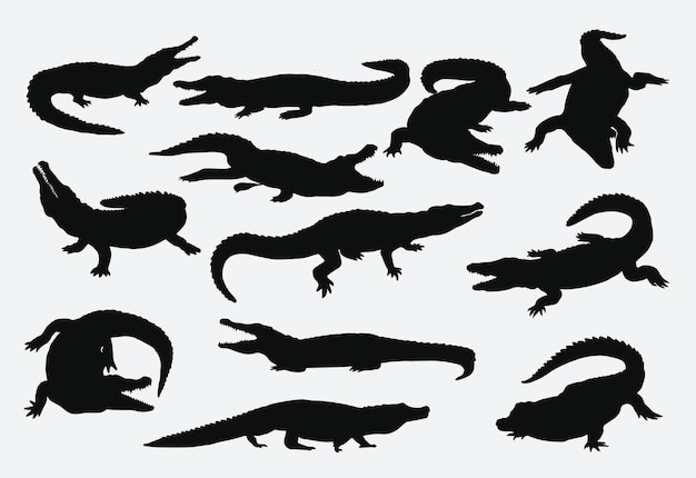conception de décor de vecteur de silhouette de crocodile