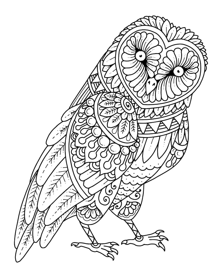 Conception décorative de mandala de hibou. coloriage