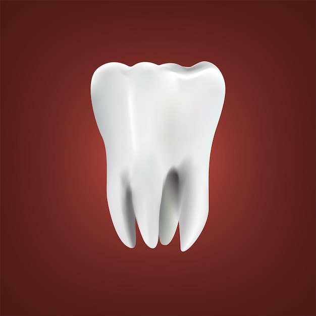 Conception de dents 3D et conception de dents 3D