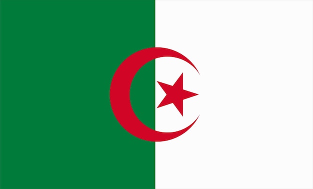 Vecteur conception du drapeau de l'algérie