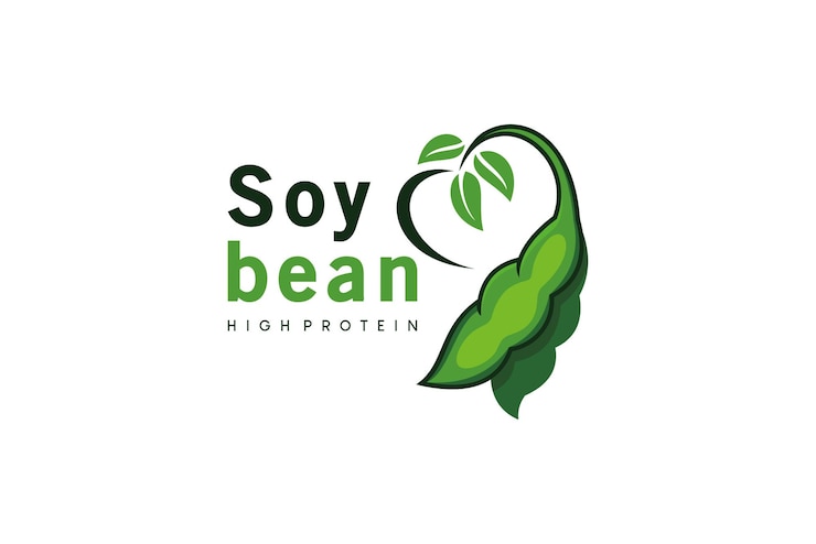 Vecteur la conception du logo du soja vert d'amour moderne