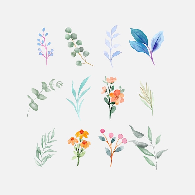 Conception de fichier eps modèle élément vecteur floral aquarelle