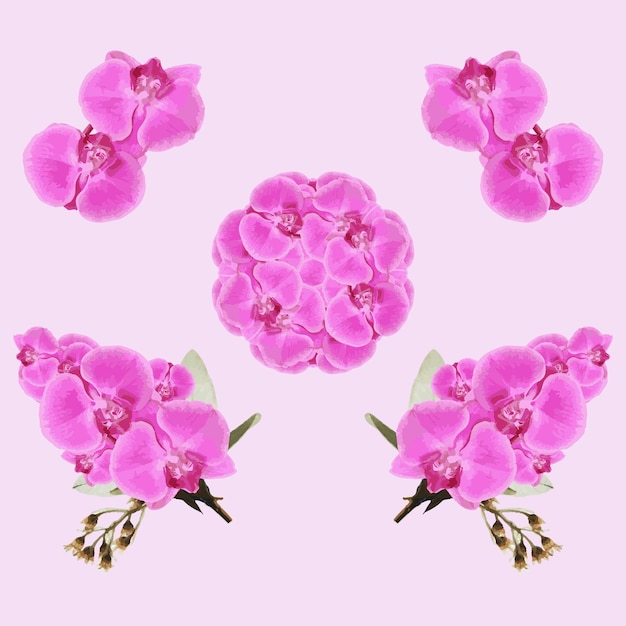 Vecteur conception florale de vecteur rose rose carte d'invitation de mariage ensemble d'éléments aquarelles