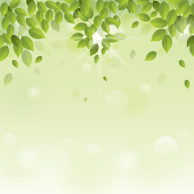 Conception de fond de feuilles vertes