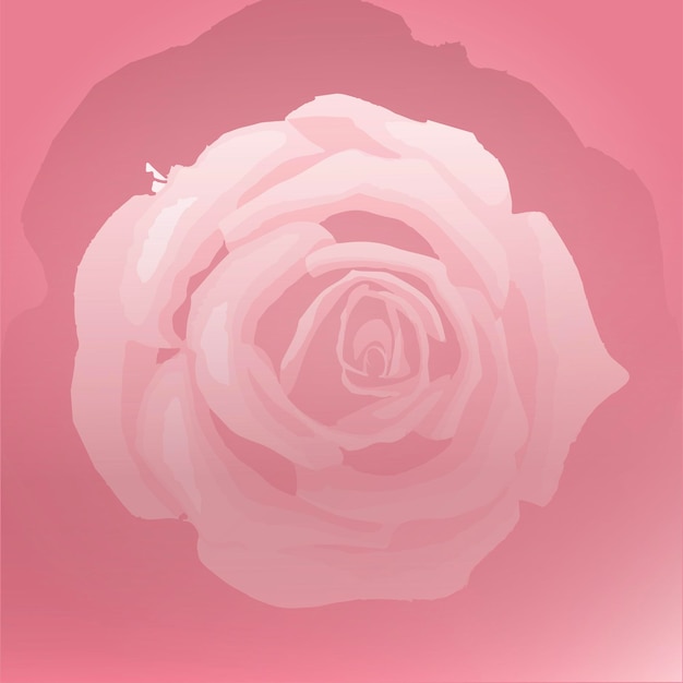 Conception de fond rose rose