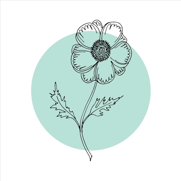 Conception Graphique De Fleurs Illustration Vectorielle D'éléments Floraux Avec Des Fleurs Dessinées à La Main