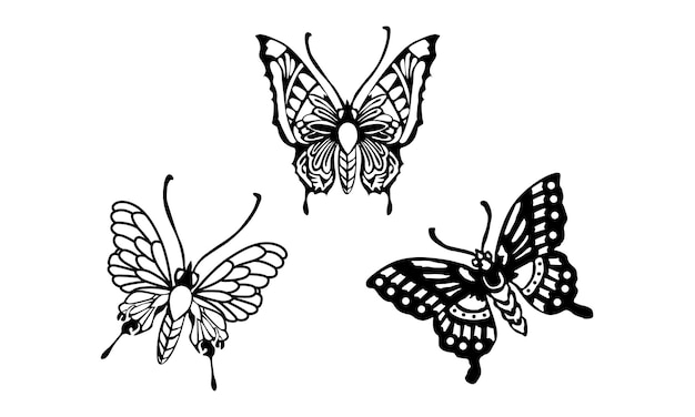 Conception Graphique De Papillon