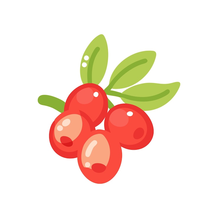 Vecteur conception de l'illustration des fruits frais biologiques