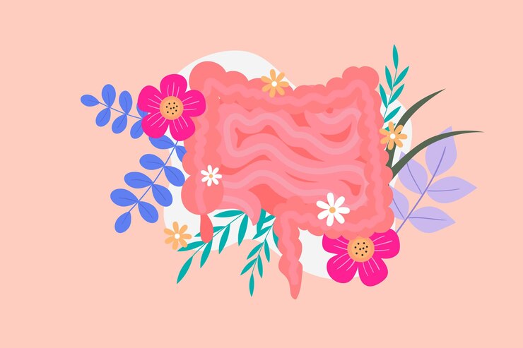 Conception d'illustration de gros intestin thème santé médicale