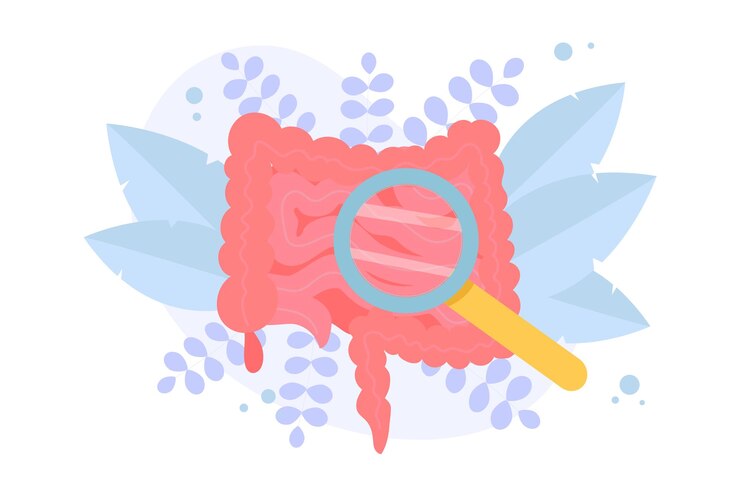 Conception d'illustration de gros intestin thème santé médicale