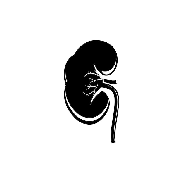 Conception d'illustration d'icône de vecteur de système rénal