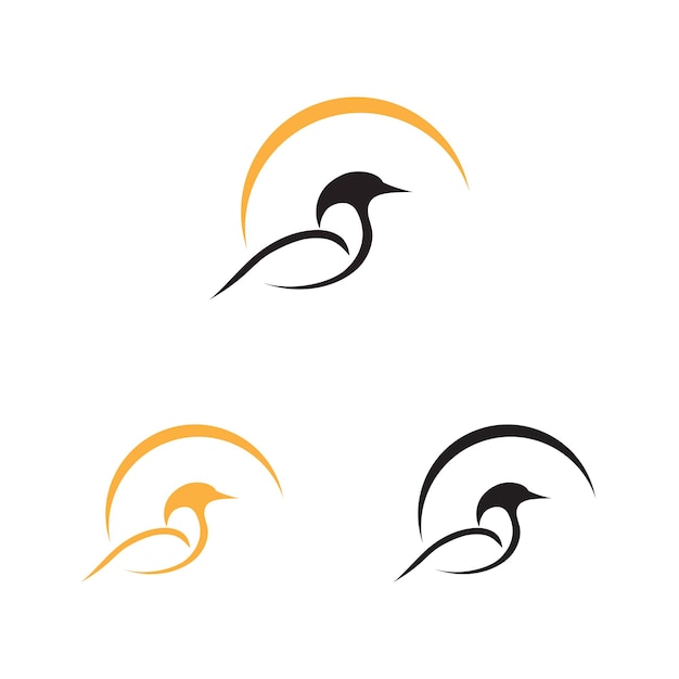 Conception d'illustration d'images de logo d'oiseau