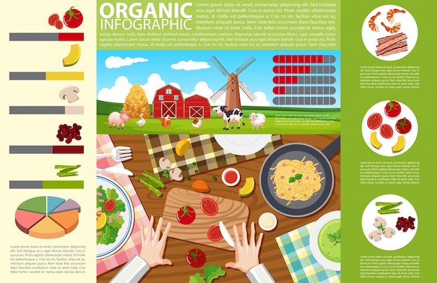 Conception infographique avec la nourriture et la ferme biologique