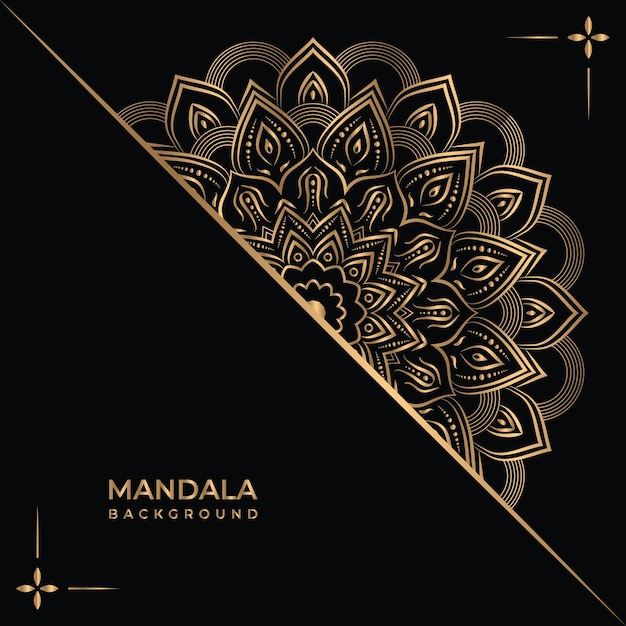 Conception De Mandala De Belle Couleur Vecteur Premium