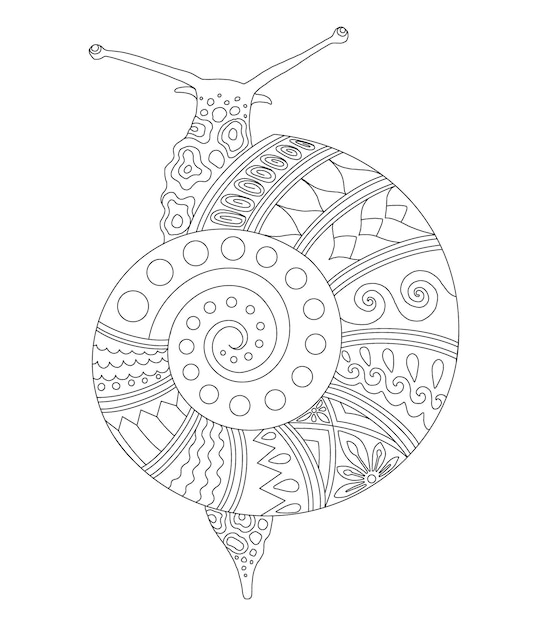 Vecteur conception de mandala d'escargot pour l'impression de page de coloriage