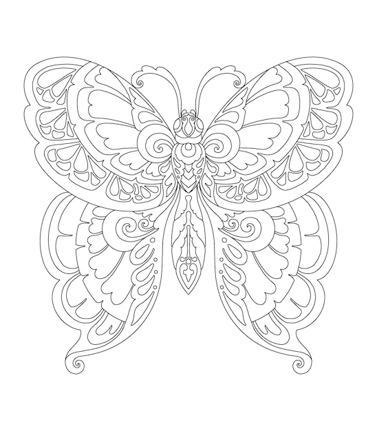 Vecteur conception de mandala de papillon pour l'impression de page de coloration