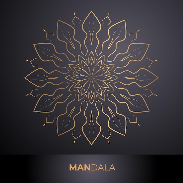 Vecteur conception de mandalas