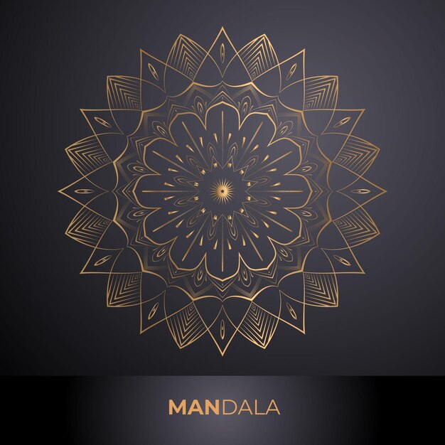 Vecteur conception de mandalas